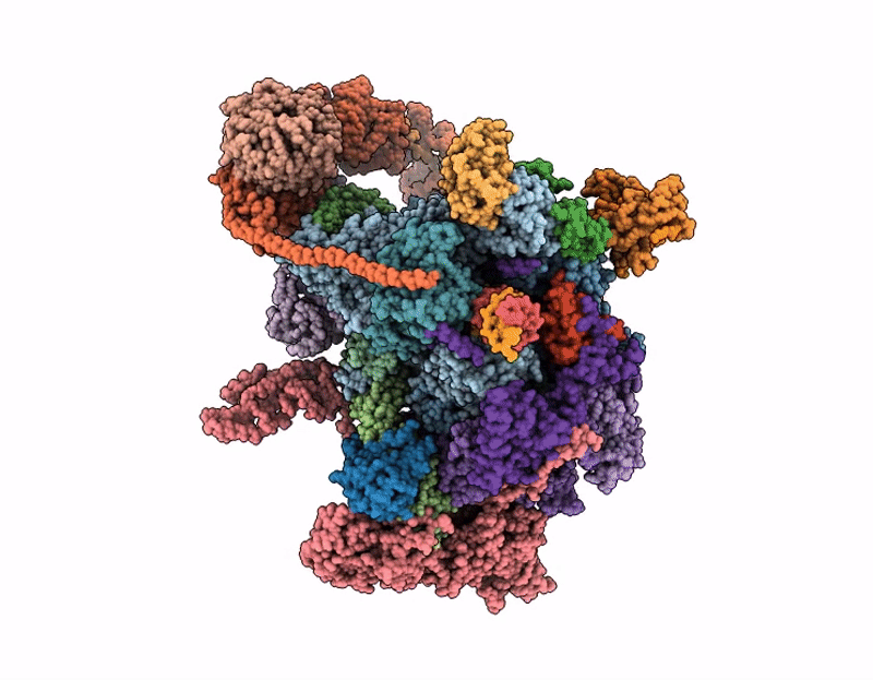 9MLC image