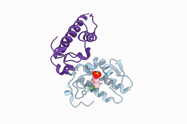 9MLE image