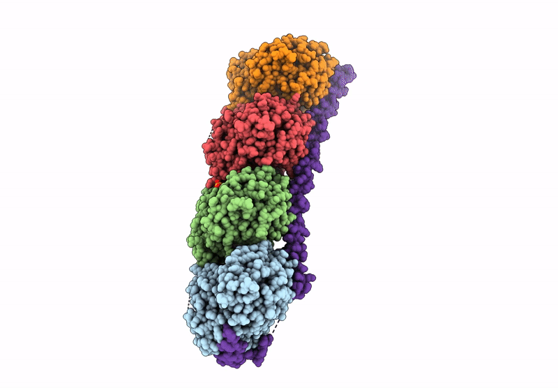 9MLF image