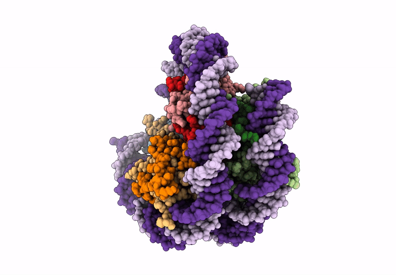 9MLR image