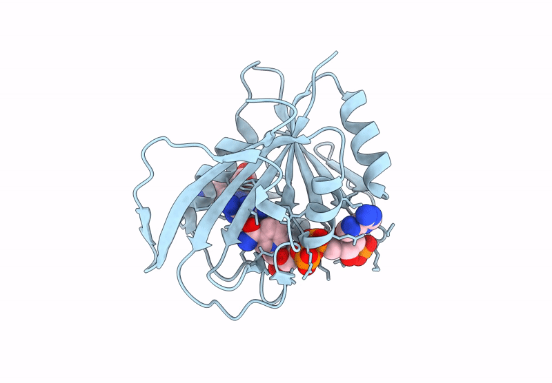 9MLT image