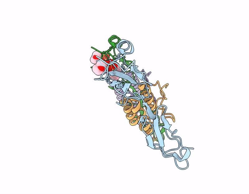 9MLU image