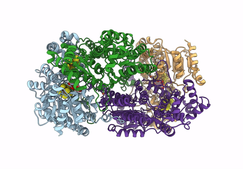 9MLZ image