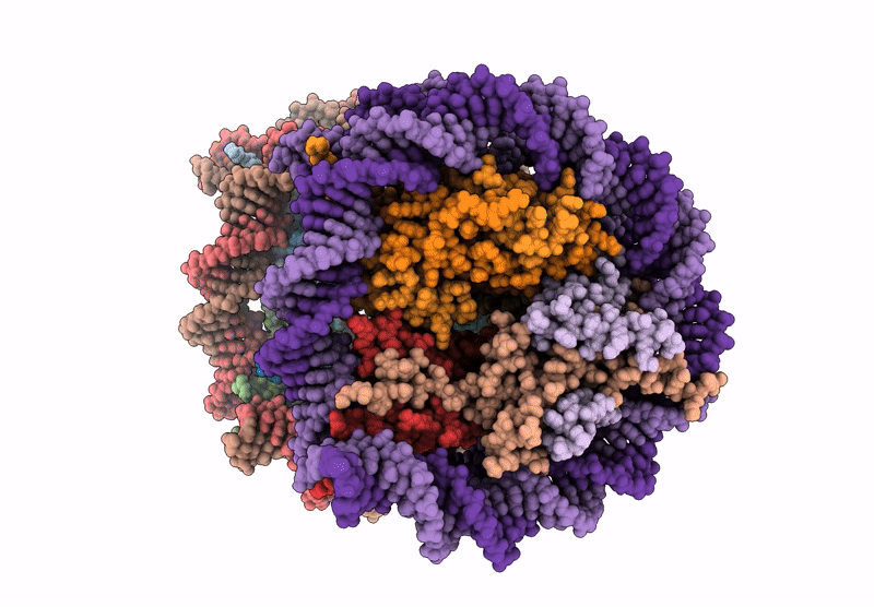 9MMM image