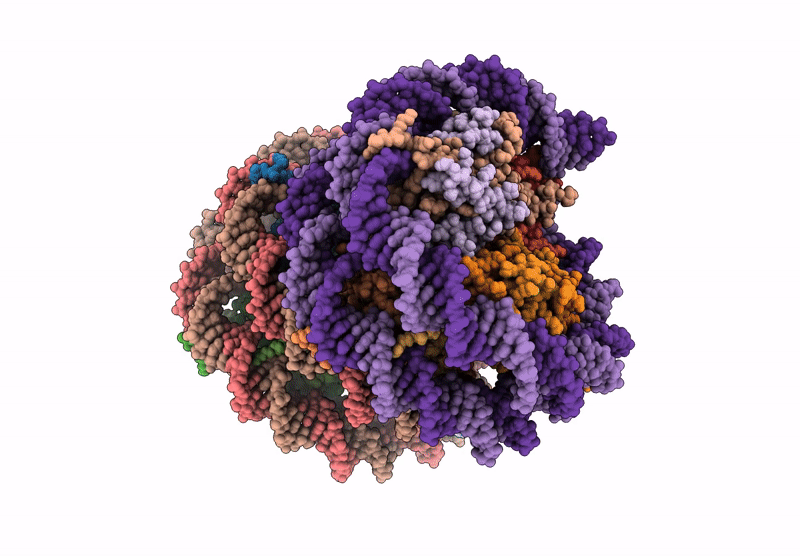 9MMN image
