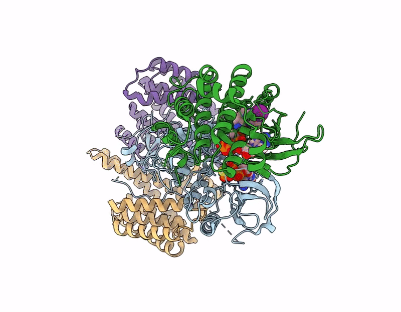 9MMP image