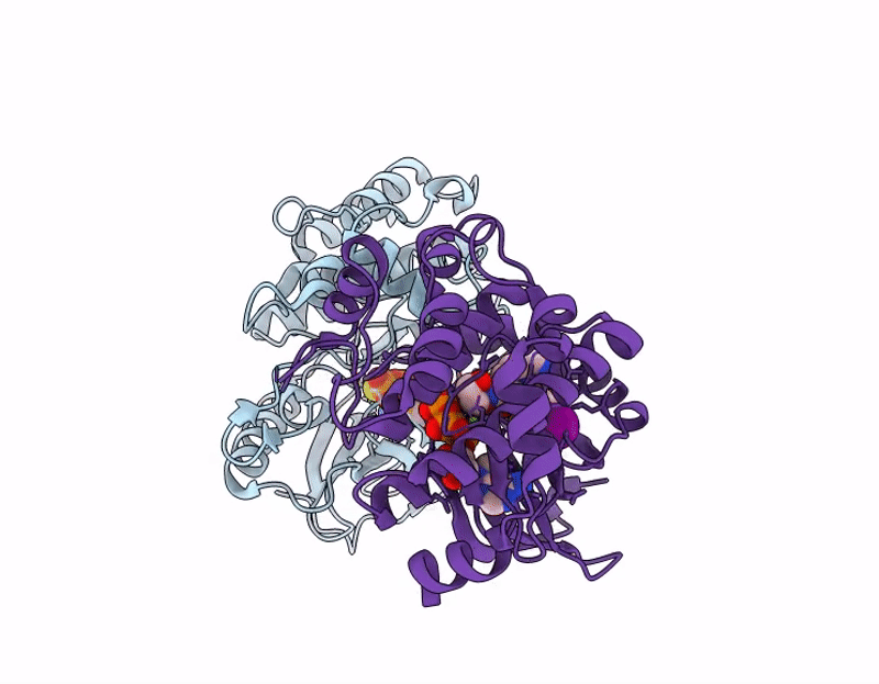 9MMS image