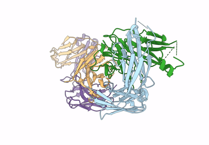 9MMV image