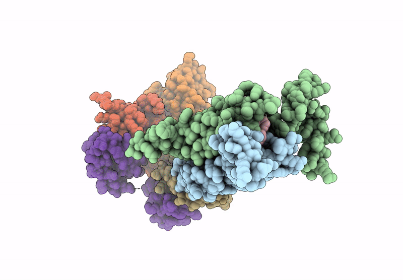 9MNZ image