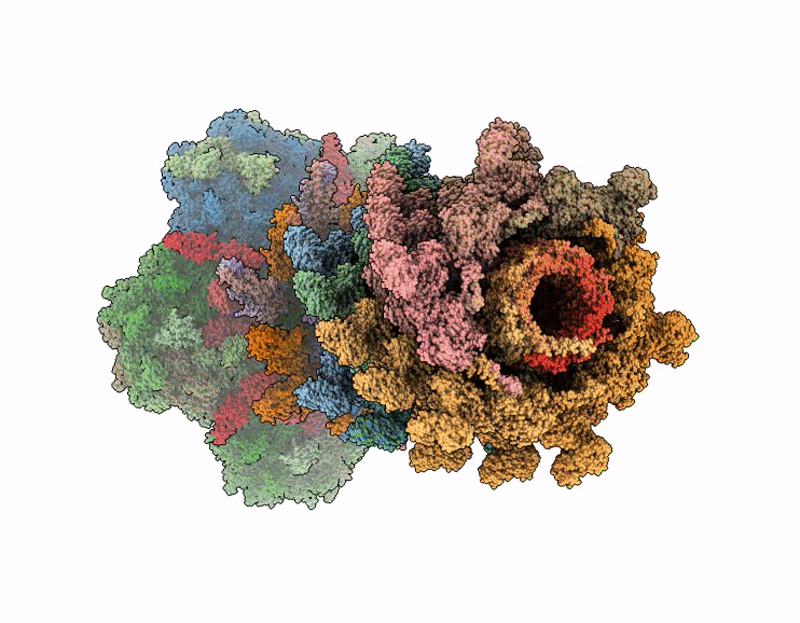 9MOF image