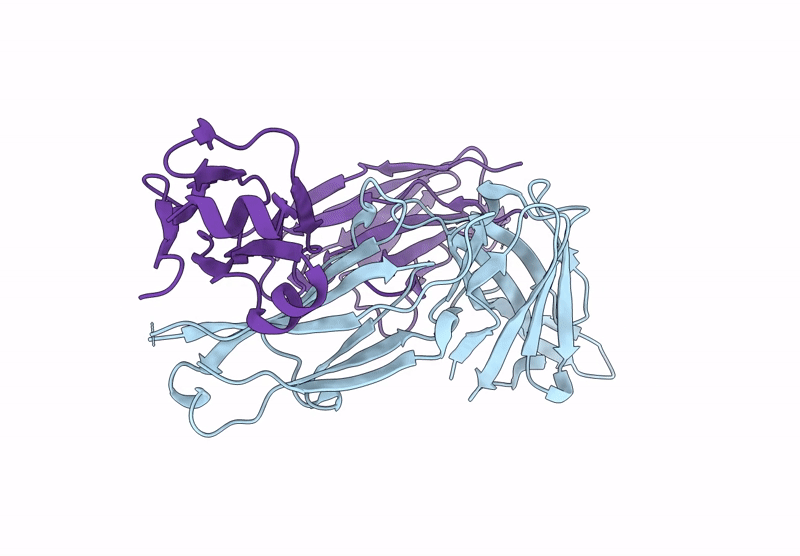 9MPB image