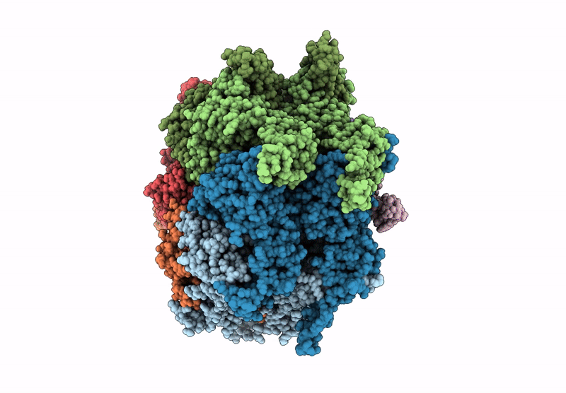 9MPV image