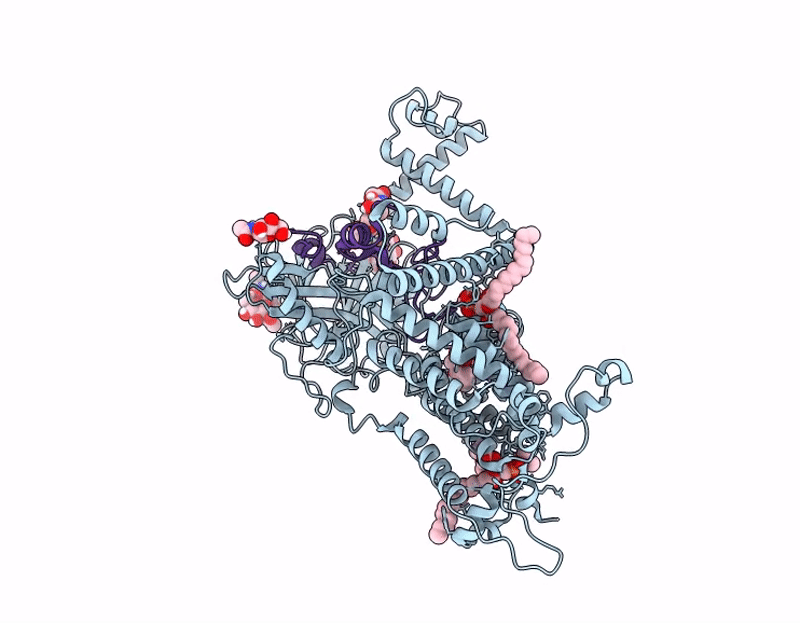 9MQB image