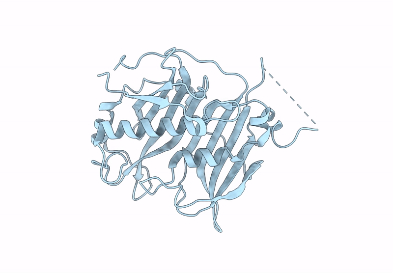 9MQF image