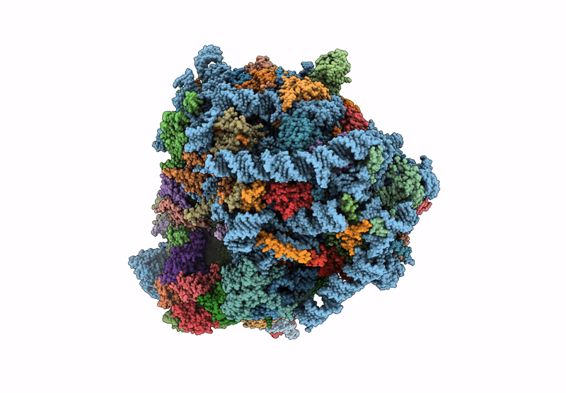 9MR4 image