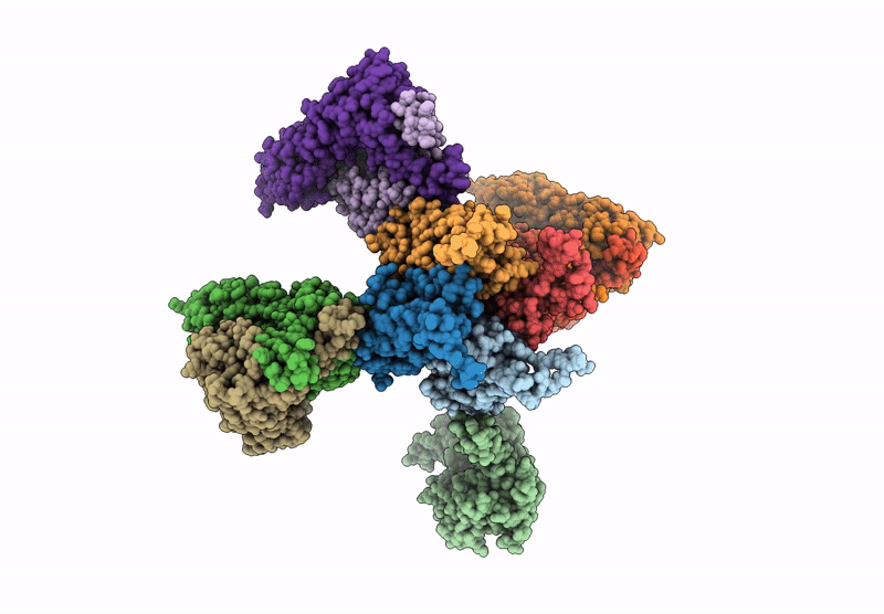 9MRX image