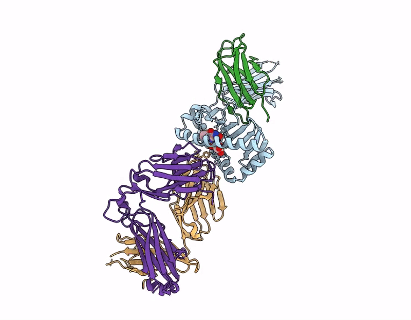 9MS0 image