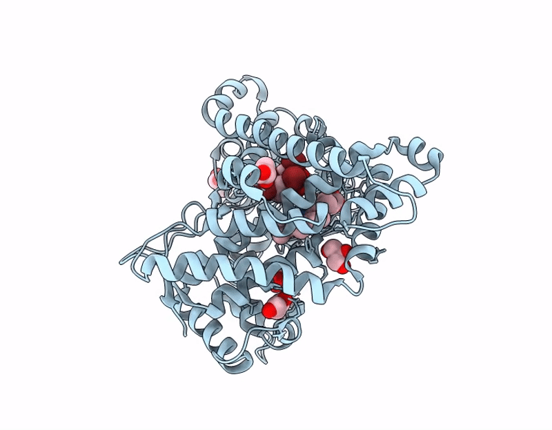 9MS3 image