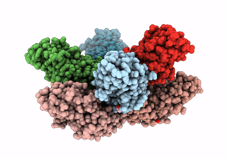 9MS4 image
