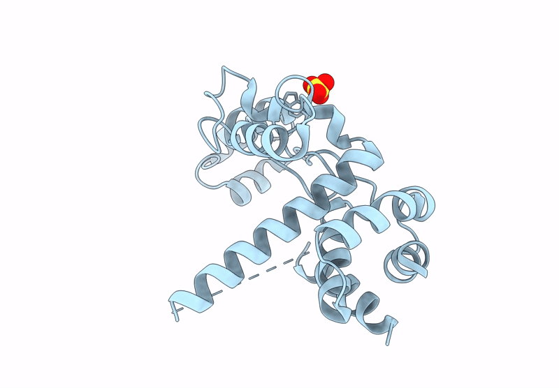 9MS6 image
