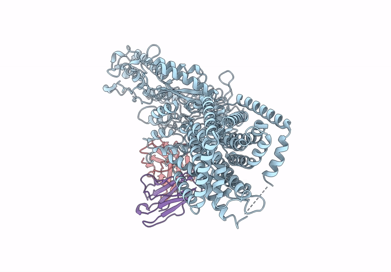 9MS8 image