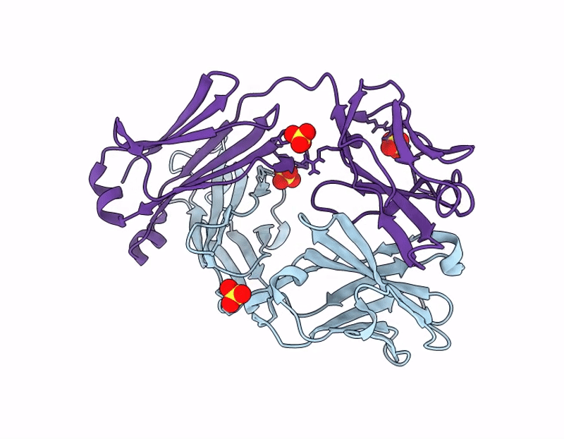 9MS9 image