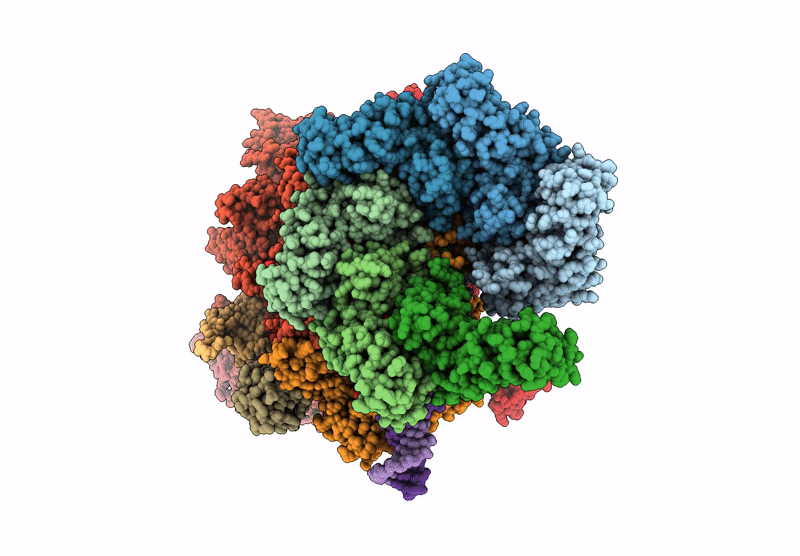9MSE image