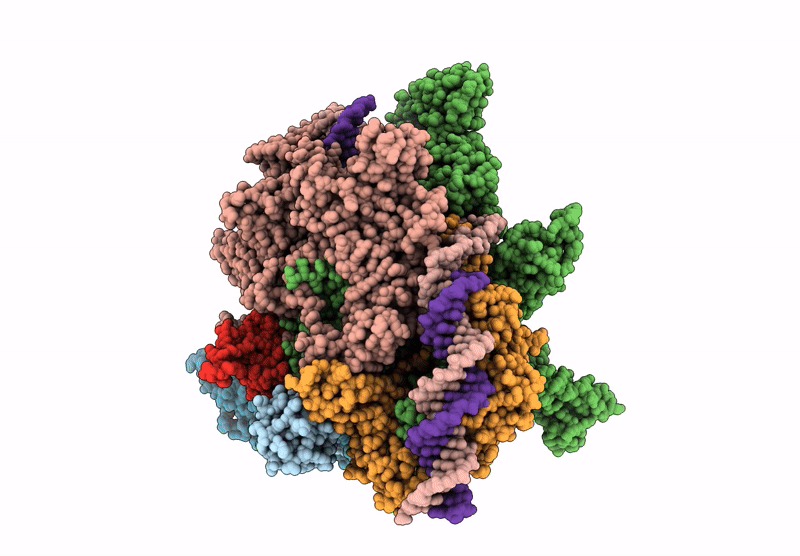 9MSJ image