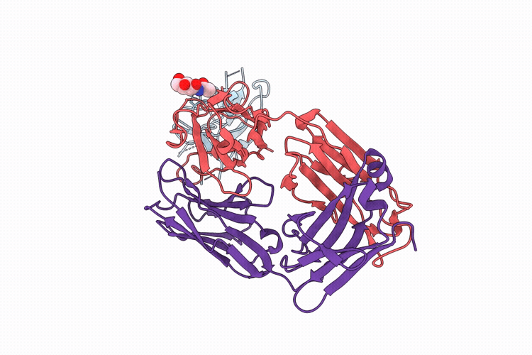 9MSK image