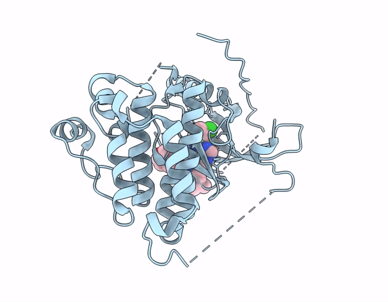 9MSR image