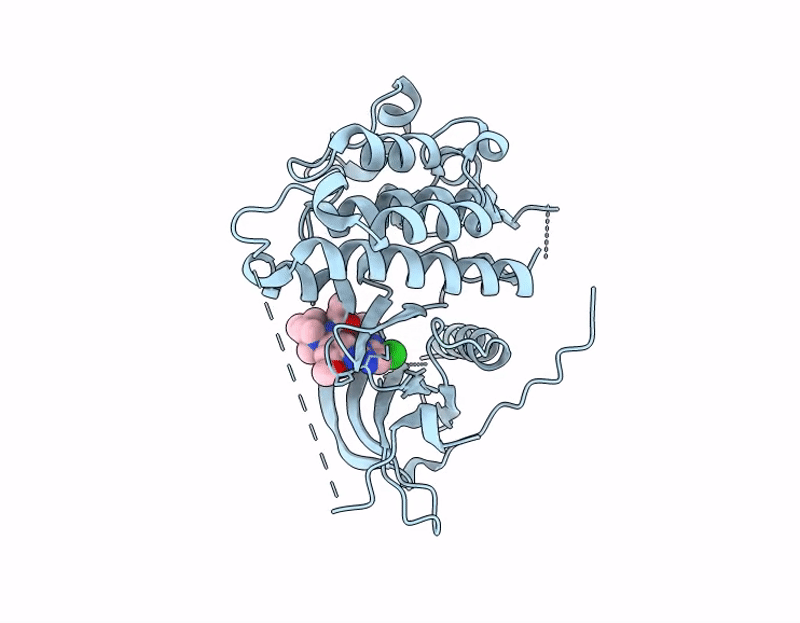 9MSS image