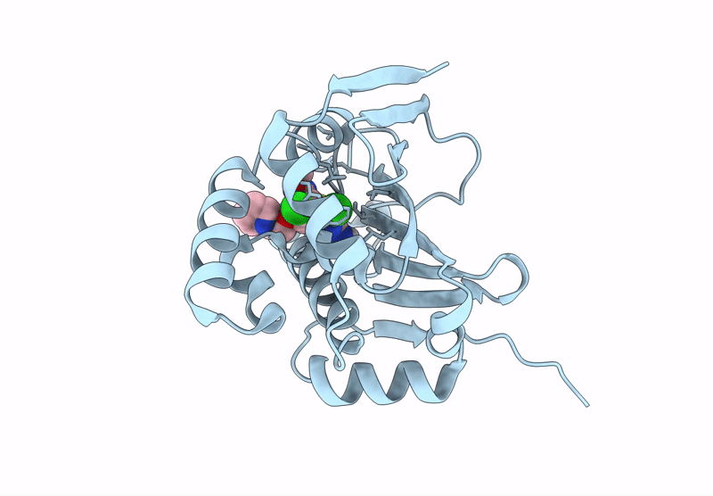 9MSV image