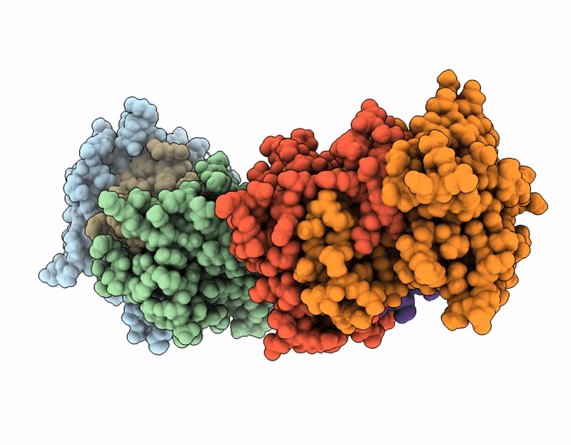 9MVG image