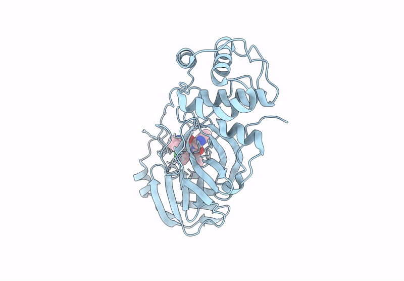 9MVO image