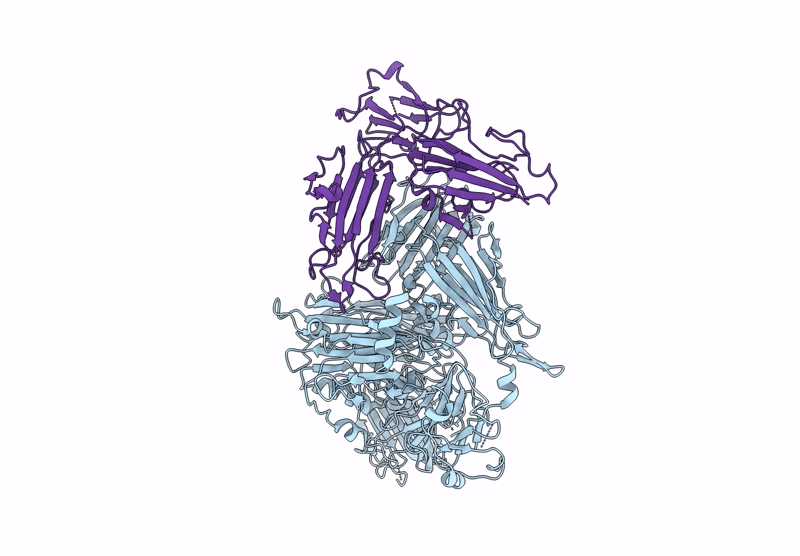 9MVV image