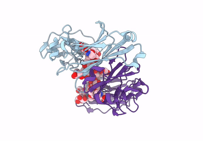 9MVX image