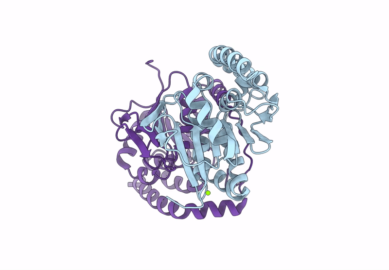 9MXP image