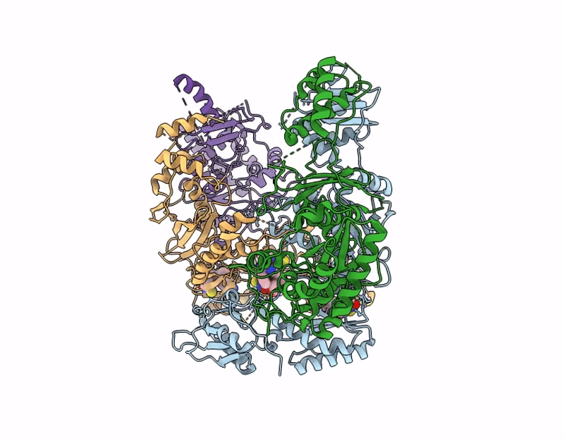 9MXT image