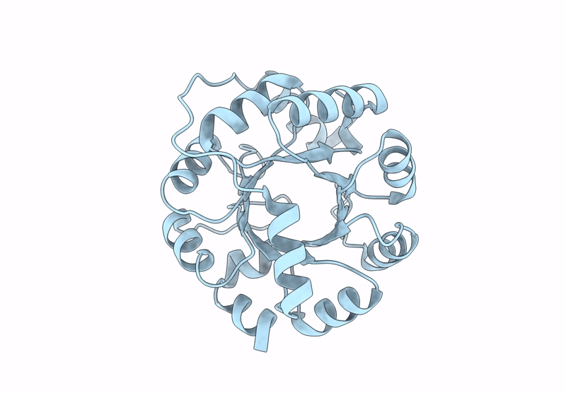 9MYA image