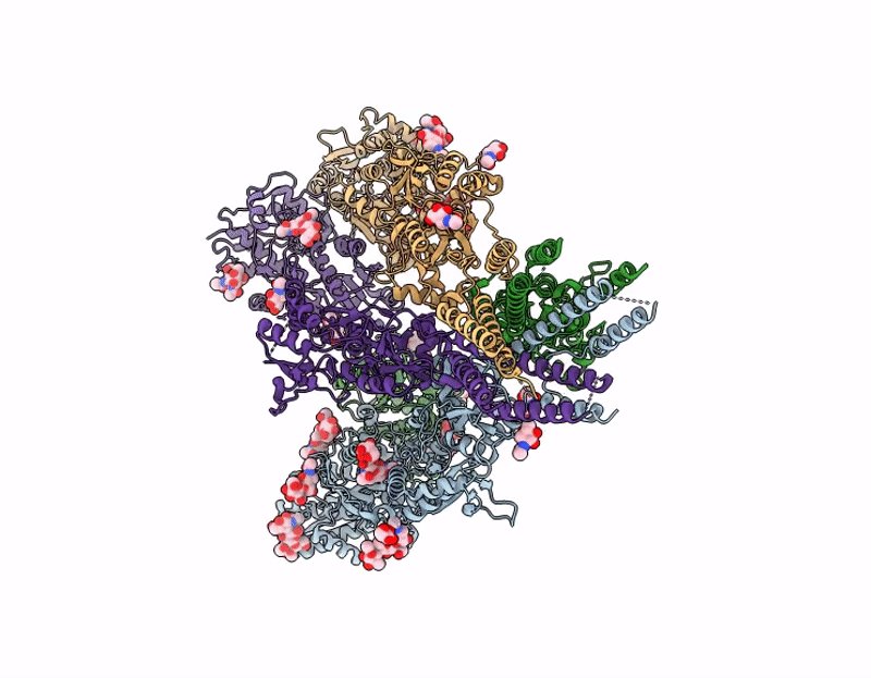 9MZK image