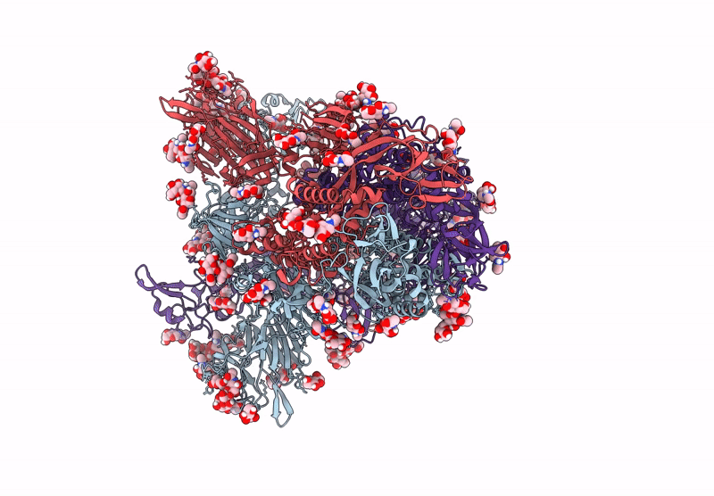 9N14 image