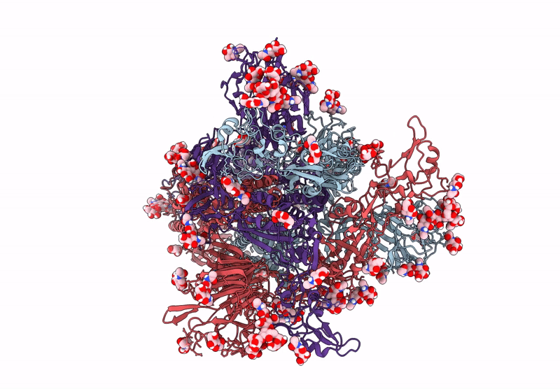 9N16 image