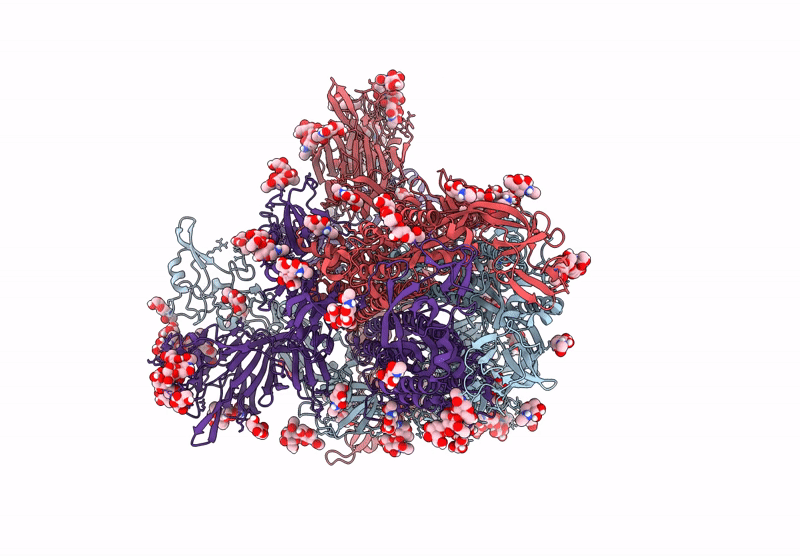 9N18 image