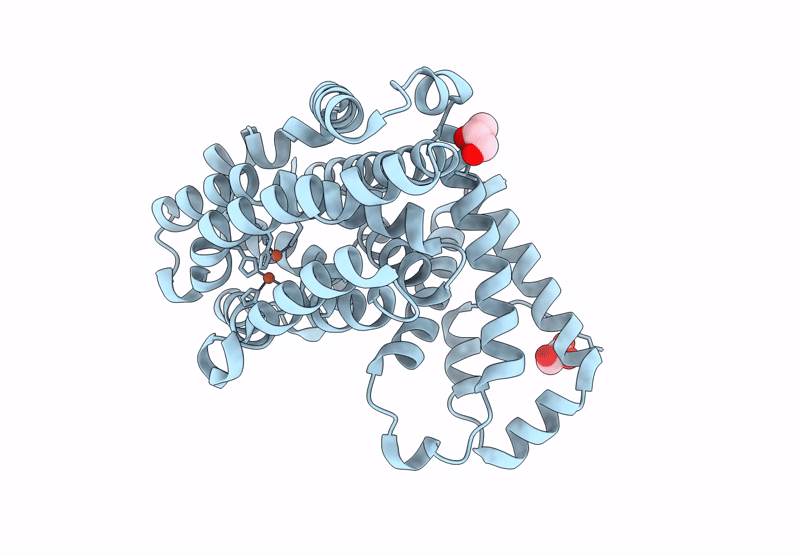 9N1A image