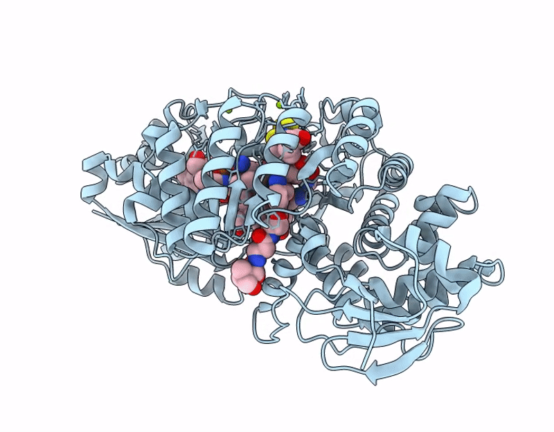 9N1B image