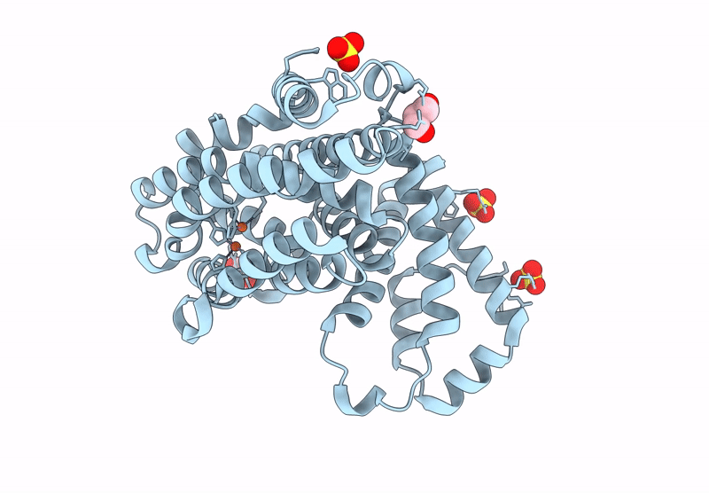 9N1E image
