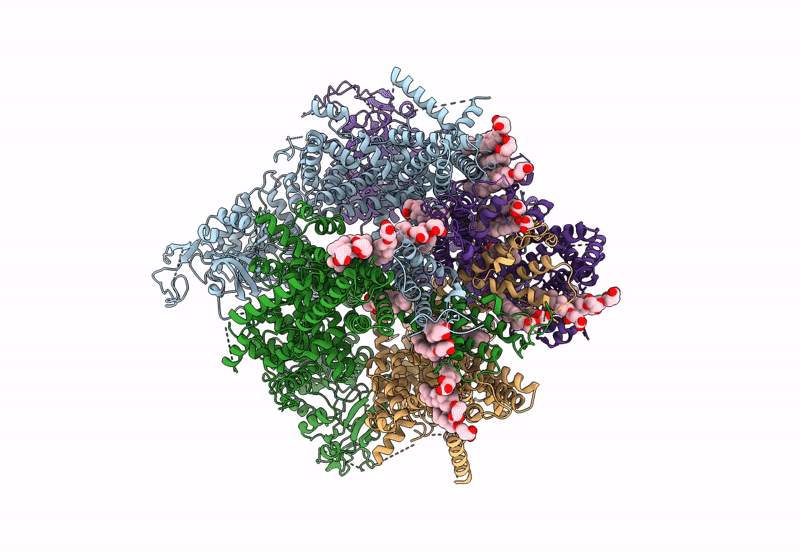 9N1H image