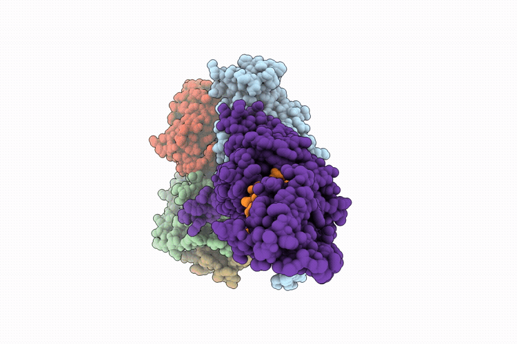 9N1P image