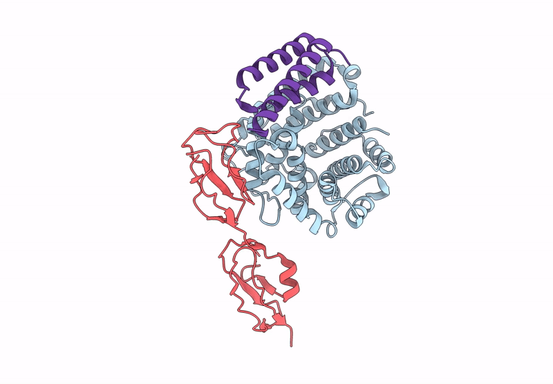 9N20 image