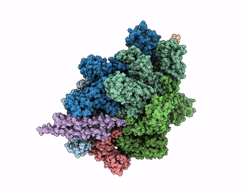 9N22 image